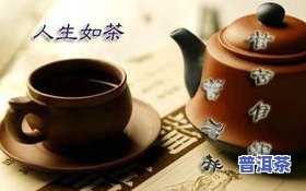 普洱茶讲究，品味人生：深入解析普洱茶的讲究与艺术