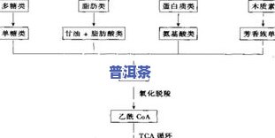 茶叶一般在哪卖的？了解更佳购买地点与途径！