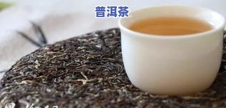 普洱茶价格水分在哪里查-普洱茶价格水分在哪里查的