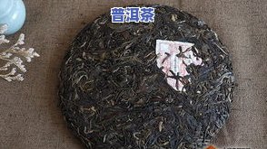 九公斤普洱茶多少钱一斤？一公斤能压多少饼？