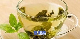 荷叶普洱茶能长期喝吗，荷叶普洱茶的长期饮用效果：健康还是风险？