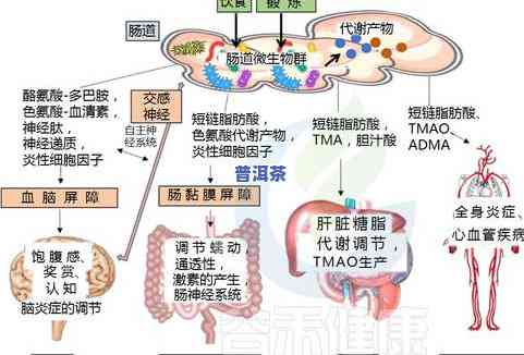 普洱茶黄斑：探究其形成原因与影响因素