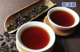 冰岛春芽普洱茶：冲泡过程与泡水后形态全记录