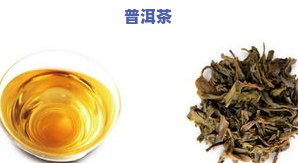 普洱茶能用凉水煮吗？详细解析冷泡普洱茶的方法与技巧