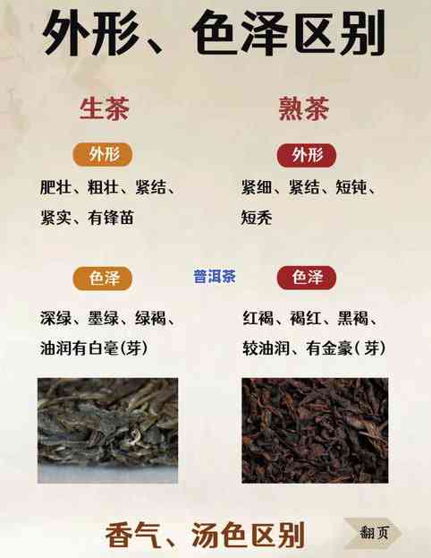 普洱茶大全书，探索普洱茶的世界：一本全面的普洱茶大全书