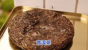 普洱茶饼上面有白斑点：是不是发霉了？