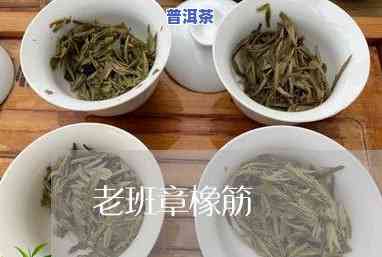 04年  版老班章普洱茶价格-2004年老班章普洱茶多少钱一饼