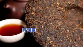 普洱茶冰种是什么意思，揭秘普洱茶冰种：你不知道的茶叶新品种