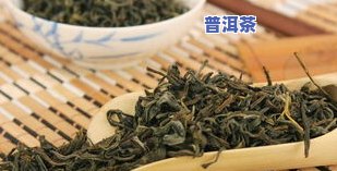 那个普洱茶是红茶还是绿茶呀，解答疑惑：普洱茶是红茶还是绿茶？