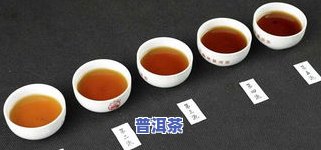 那个普洱茶-那个普洱茶性价比高又好喝