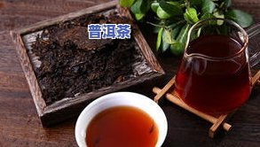 天安普洱茶-天安茶厂 普洱茶