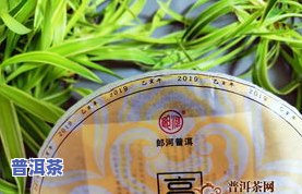 寻找勐海郎河茶叶专卖店？全网最全地址大汇总！