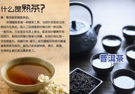 云南七子普洱熟茶饼茶价格，【限时优惠】云南七子普洱熟茶饼茶价格大揭秘！