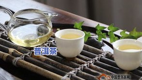 普洱茶饼：煮 vs 泡，哪种方法更好？