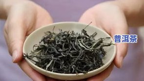 拔玛古树茶属于什么茶，探索神秘的茶叶世界：揭秘拔玛古树茶的种类归属