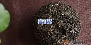 普洱茶茶魁是什么茶种啊，探秘茶叶世界：普洱茶中的茶魁是什么品种？