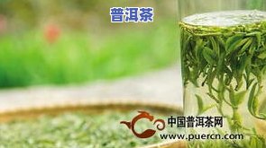 普洱茶历史文化传承：发展历程与保护措施