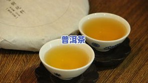 野猪沟普洱茶：口感、品质全方位解析