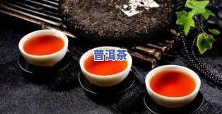 普洱茶官方网站—普洱网：专业提供普洱茶叶信息和服务