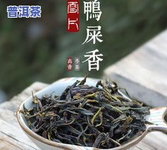 500g茶叶有多少图片，探究500克茶叶的美丽瞬间：多少张图片能展现它的风采？