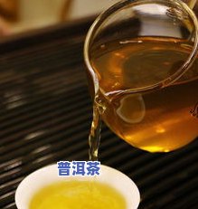 普洱茶的顺口溜，品茗之道：学习普洱茶的顺口溜，轻松掌握其独特韵味！