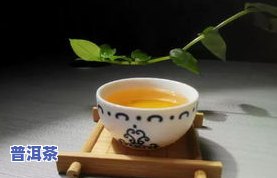 普洱茶茶语探析：理解普洱茶的独特用语与含义