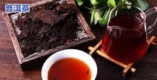 普洱茶茶语探析：理解普洱茶的独特用语与含义