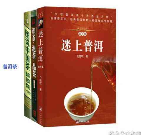 普洱茶的美词，品味普洱茶之美：探索茶文化的独特魅力