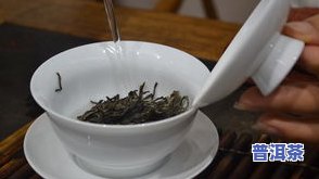 冰岛普洱茶的冲泡方法，探究冰岛普洱茶的独特冲泡方法