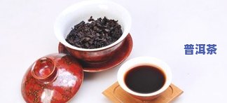 昆布茶Gallery：了解昆布茶是什么，其功效与作用