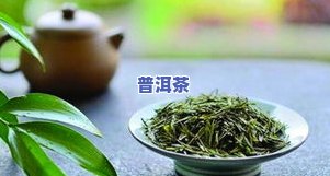 白茶哪个好-白茶推荐