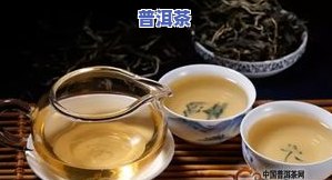 长时间喝普洱茶有什么好处，探讨长期饮用普洱茶的五大健康益处