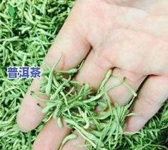 20克茶叶的有多少-20克茶叶的数量有多少