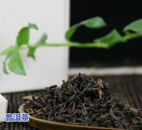 20克茶叶的有多少-20克茶叶的数量有多少