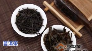 底座普洱茶-普洱 茶底