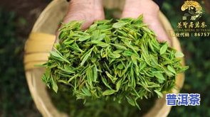 茶叶储存的温度是多少，茶叶的理想储存温度是多少？