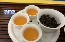 普洱茶更好的品种是什么，探索普洱茶的魅力：揭秘更佳品种