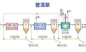 浙江普洱茶工艺流程图解-浙江普洱茶工艺流程图解大全