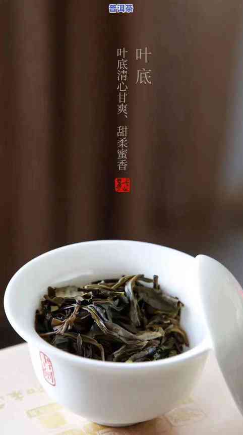 铜箐河普洱茶口感特点，探索铜箐河普洱茶的特别口感特点