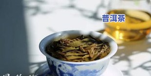 源普洱茶叶怎么样，探究源普洱茶叶的品质与口感，带你熟悉它的特别之处