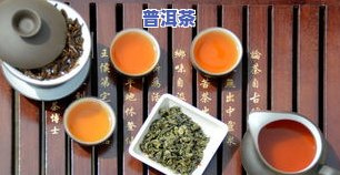 茶水和茶叶的比例，掌握更佳比例：茶水与茶叶的完美配比