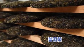 普洱茶代表品种-普洱茶代表品种有哪些