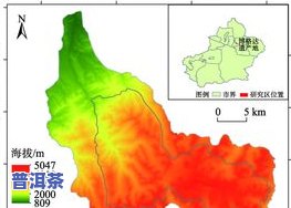 南涧县普洱茶：产地介绍与主要产区解析