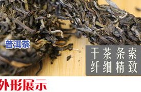 古树陈皮普洱茶价格表：全面介绍与高清图片