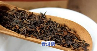 陈年古树普洱茶：价格与功效全解析