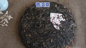 陈年古树普洱茶：价格与功效全解析