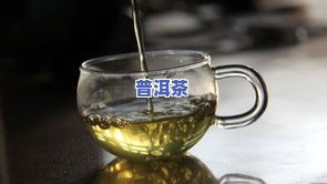 青柑普洱茶能降血压吗怎么喝，「降血压」必备！青柑普洱茶的正确泡法与功效解析