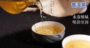 普洱茶特质-普洱茶特质青