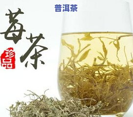 正宗张家界莓茶芽尖多少钱一斤？市场价多少？