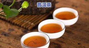 女性适合饮用普洱茶吗？探讨其利弊与适宜人群